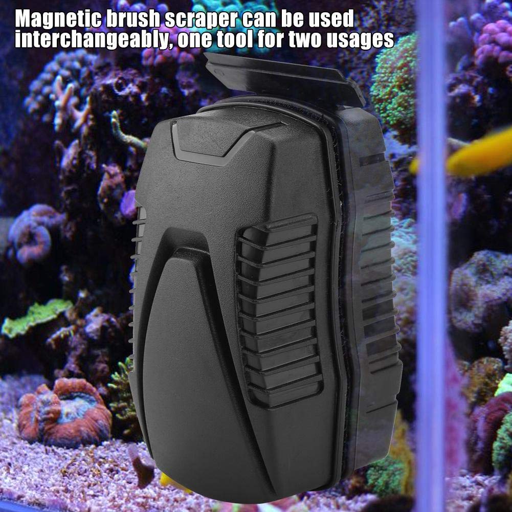 Your one-stop shop for diverse, top-quality aquarium supplies and accessories