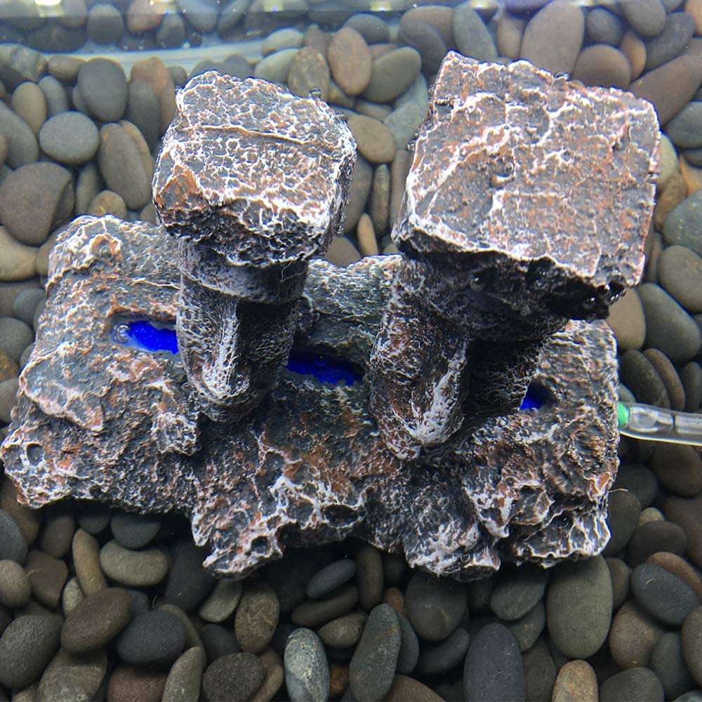 Your one-stop shop for diverse, top-quality aquarium supplies and accessories