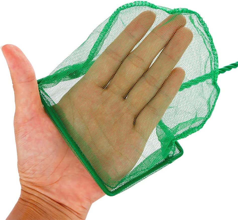 Your one-stop shop for diverse, top-quality aquarium supplies and accessories
