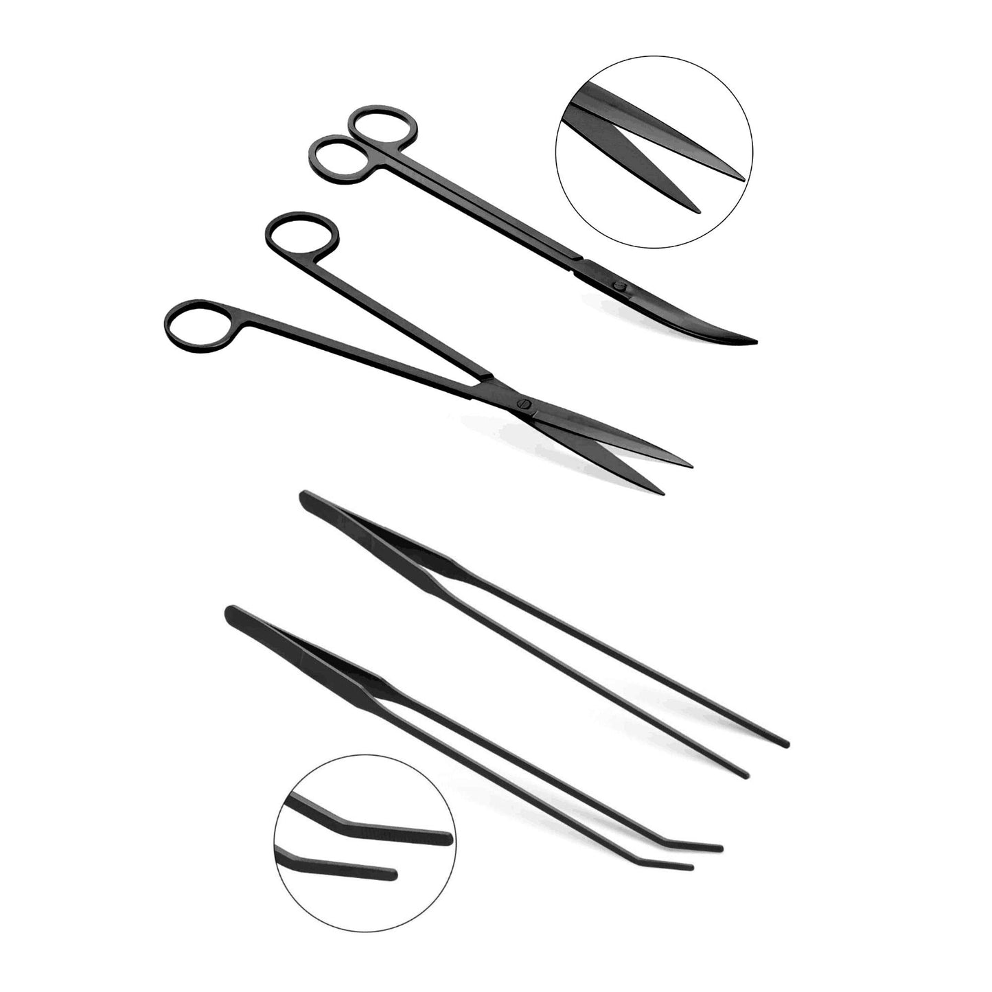 Your one-stop shop for diverse, top-quality aquarium supplies and accessories