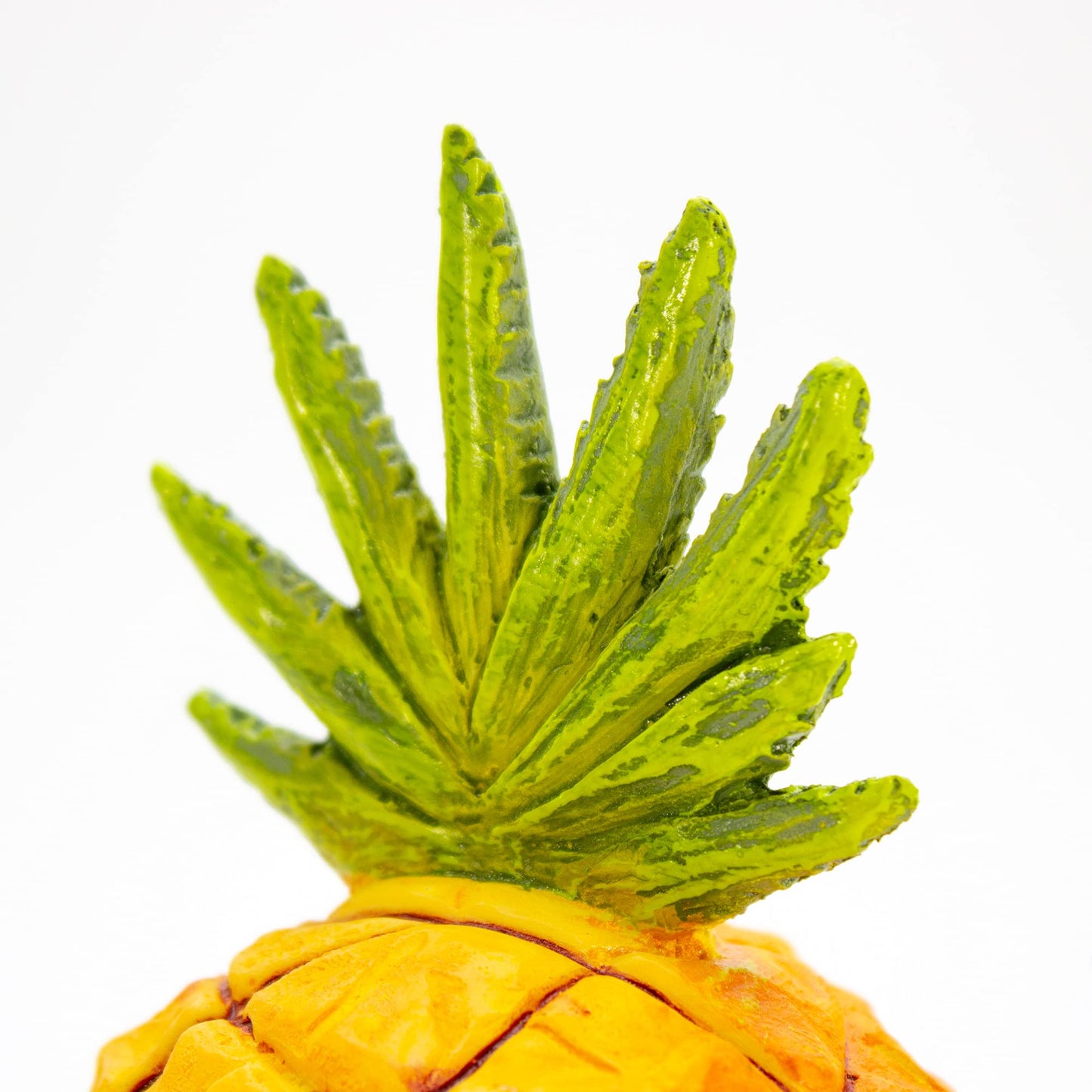 Your one-stop shop for diverse, top-quality aquarium supplies and accessories