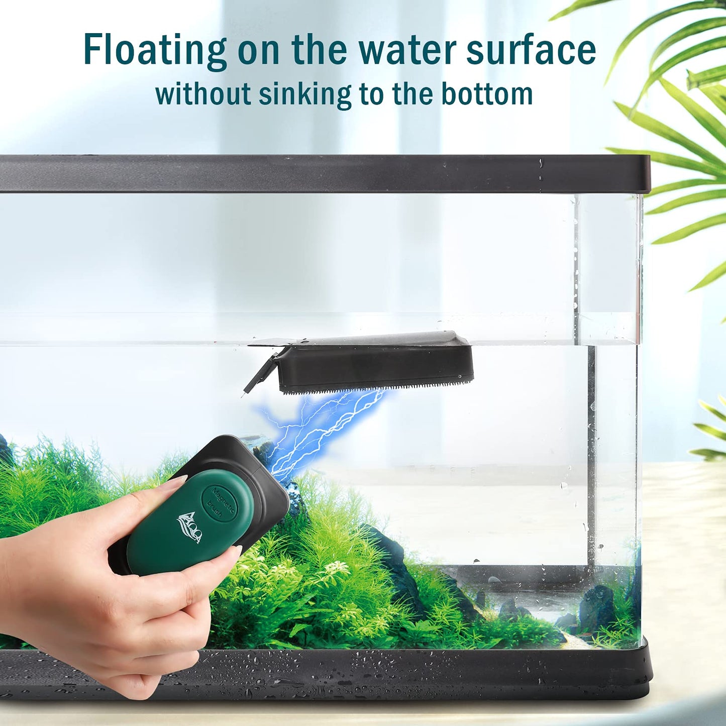 Your one-stop shop for diverse, top-quality aquarium supplies and accessories