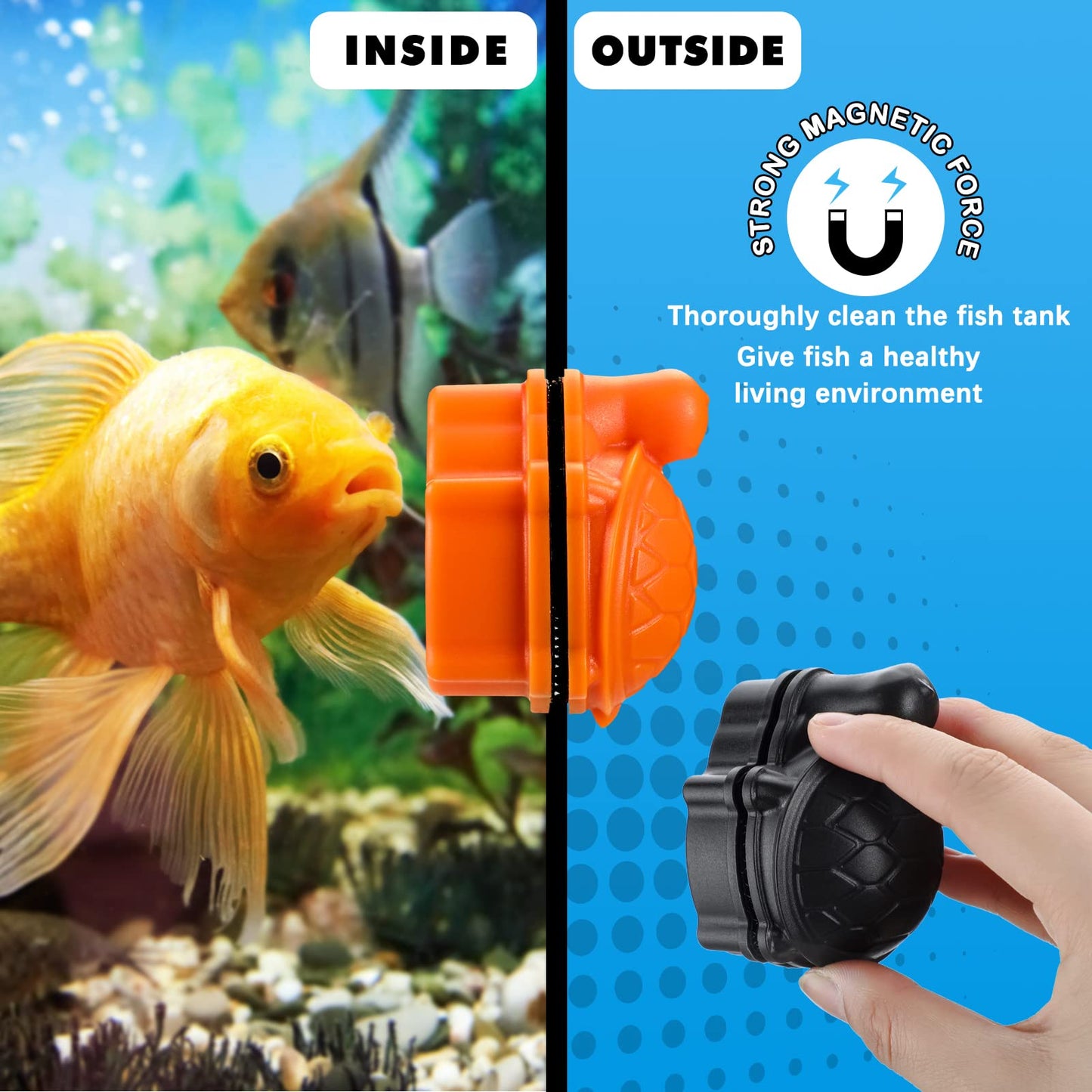Your one-stop shop for diverse, top-quality aquarium supplies and accessories