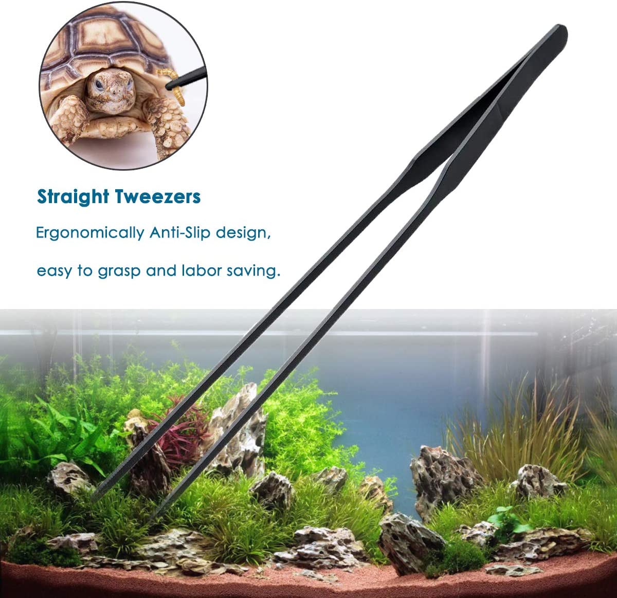 Your one-stop shop for diverse, top-quality aquarium supplies and accessories