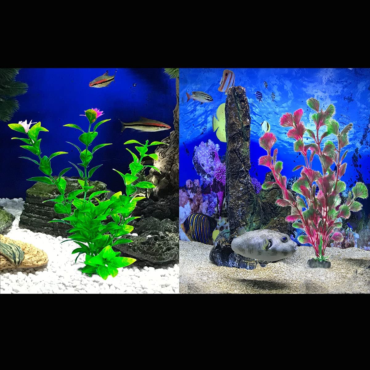 Your one-stop shop for diverse, top-quality aquarium supplies and accessories