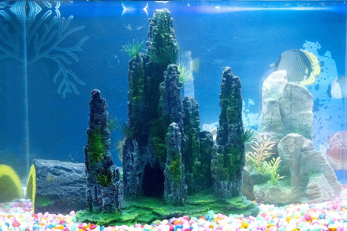 Your one-stop shop for diverse, top-quality aquarium supplies and accessories