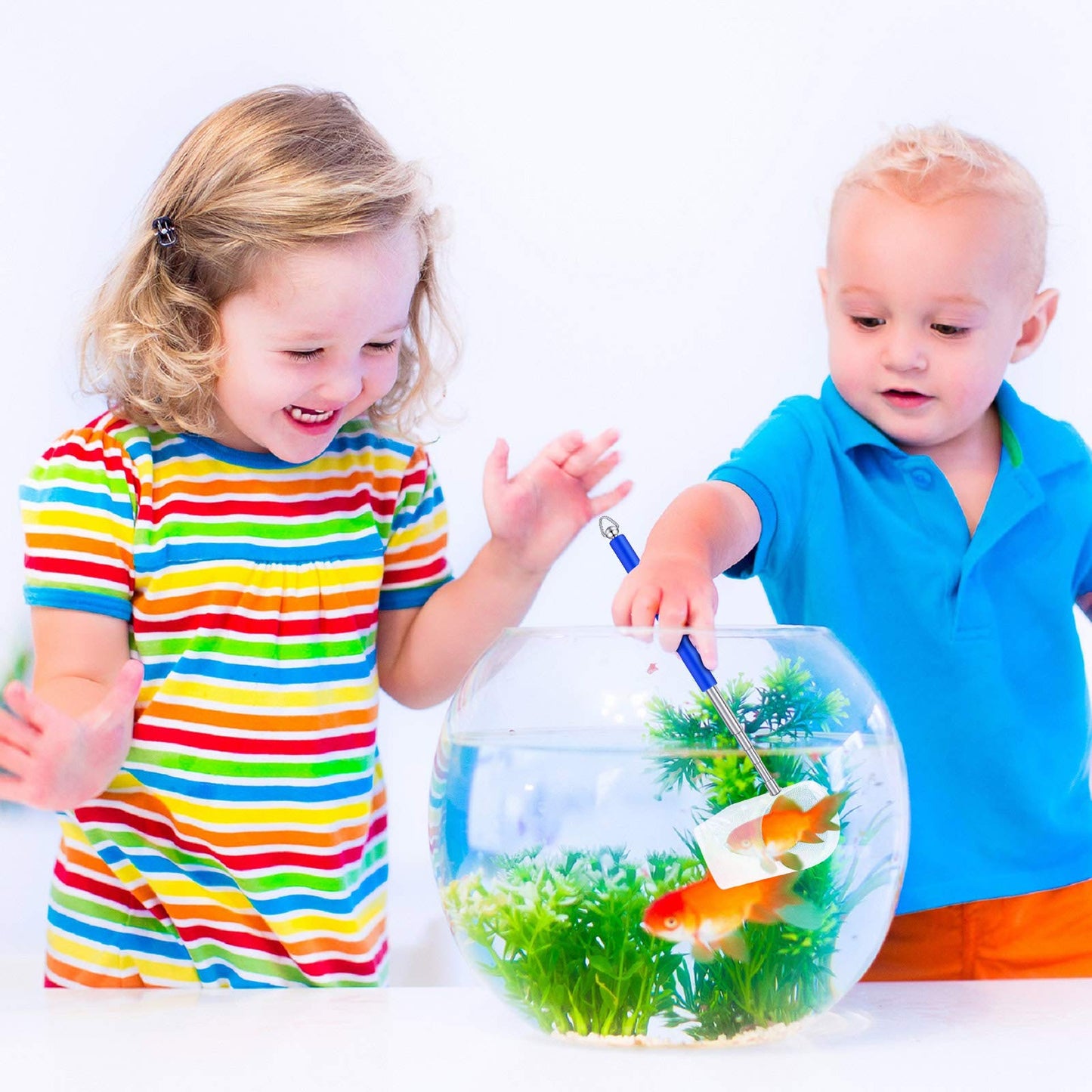 Your one-stop shop for diverse, top-quality aquarium supplies and accessories