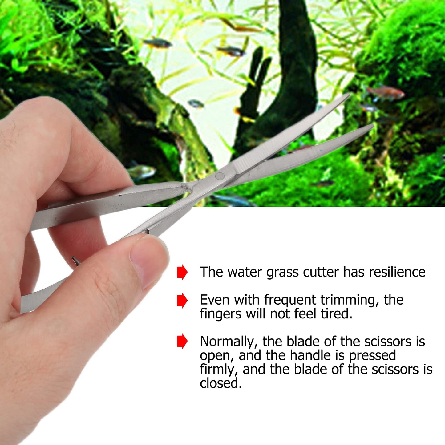 Your one-stop shop for diverse, top-quality aquarium supplies and accessories