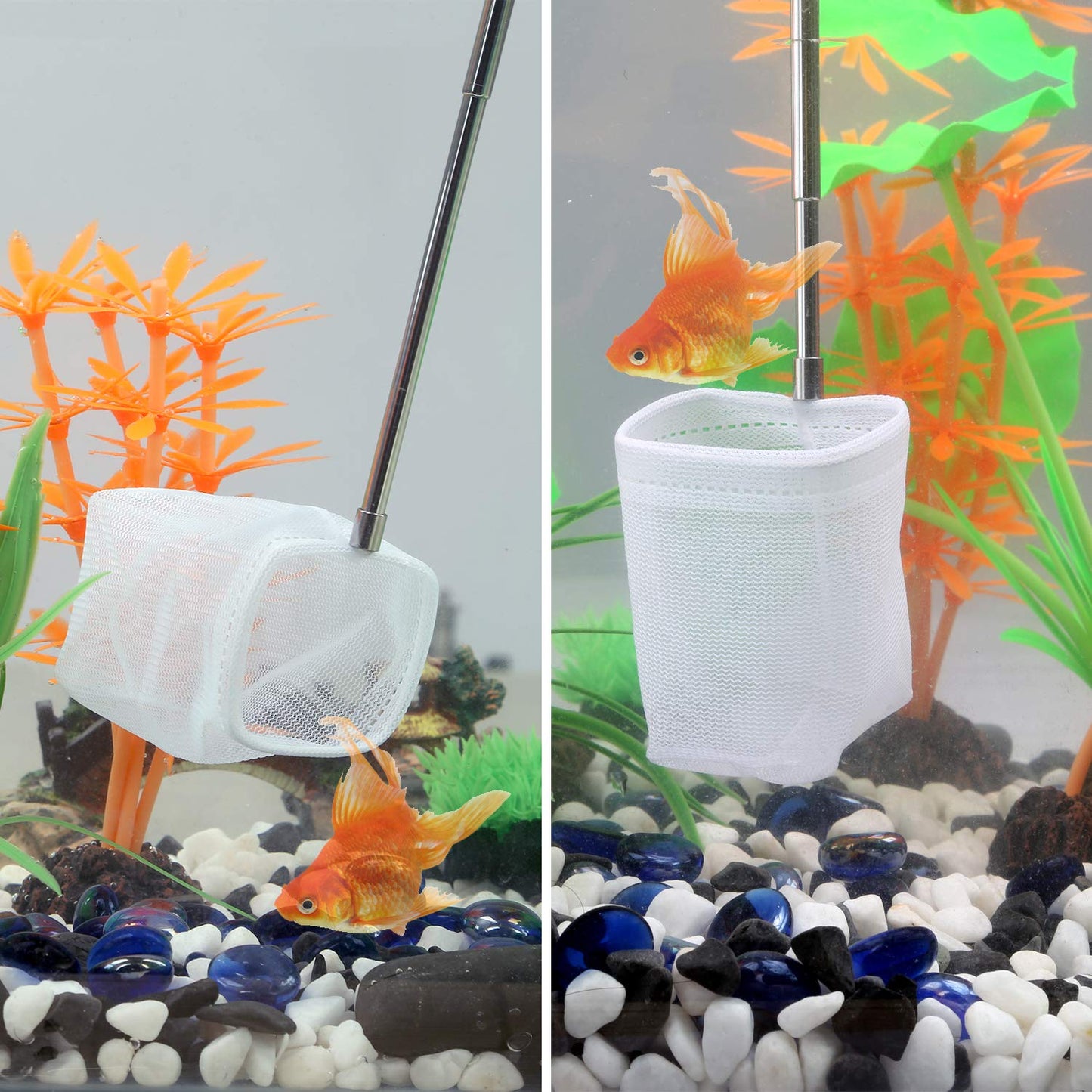 Your one-stop shop for diverse, top-quality aquarium supplies and accessories