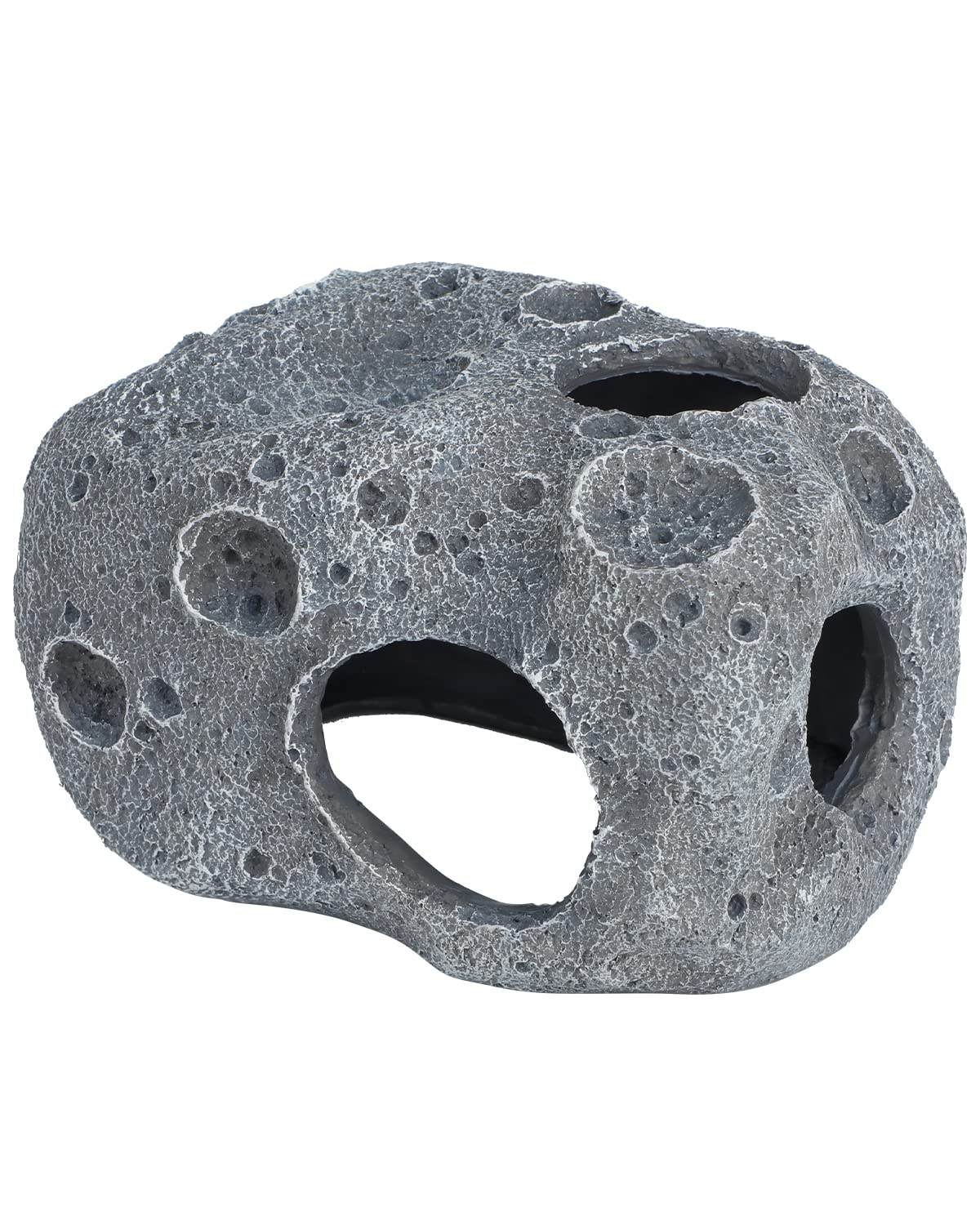 Your one-stop shop for diverse, top-quality aquarium supplies and accessories