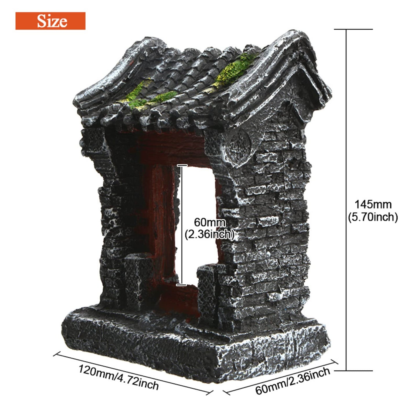 Your one-stop shop for diverse, top-quality aquarium supplies and accessories