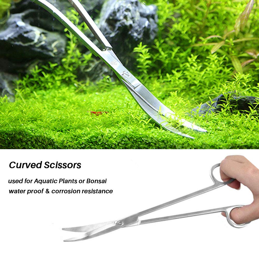 Your one-stop shop for diverse, top-quality aquarium supplies and accessories