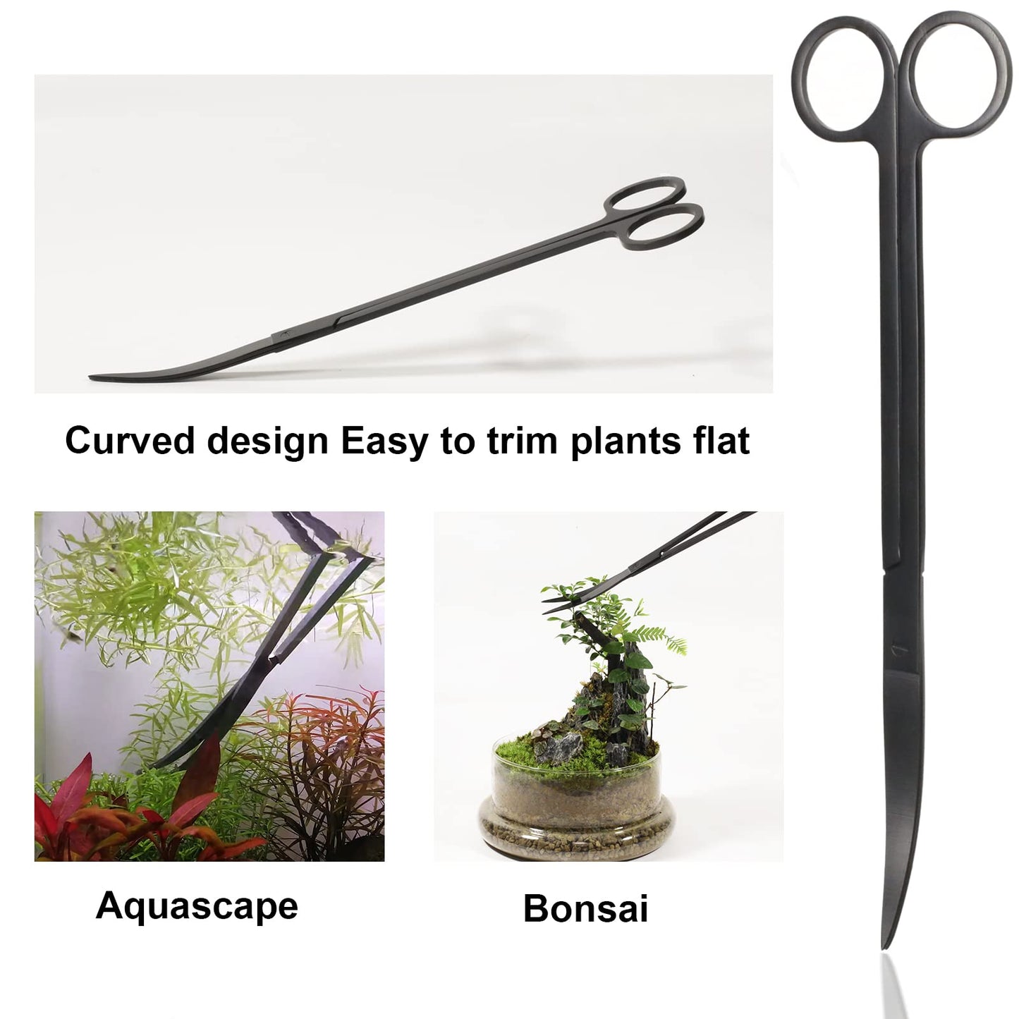 Your one-stop shop for diverse, top-quality aquarium supplies and accessories