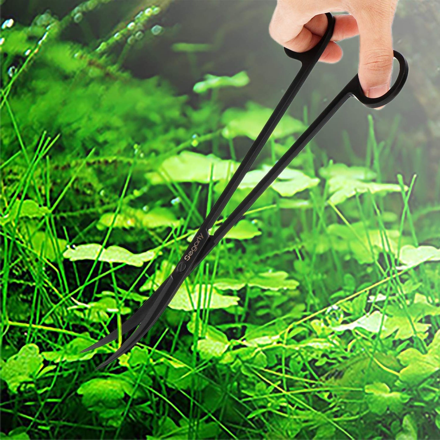 Your one-stop shop for diverse, top-quality aquarium supplies and accessories