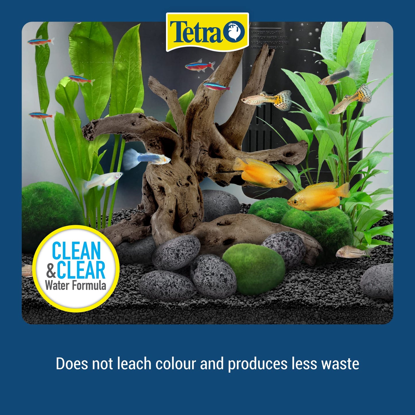 Your one-stop shop for diverse, top-quality aquarium supplies and accessories