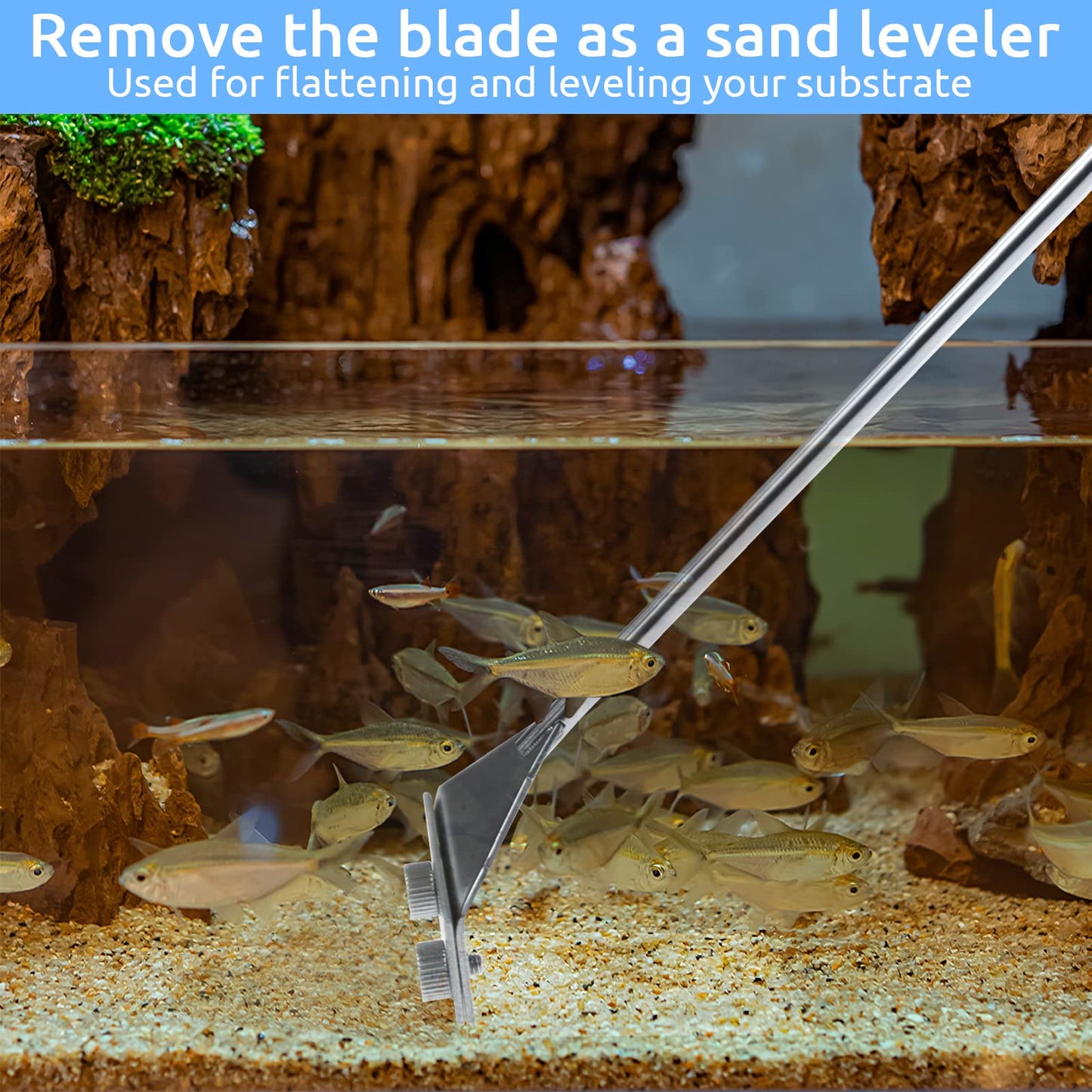 Your one-stop shop for diverse, top-quality aquarium supplies and accessories