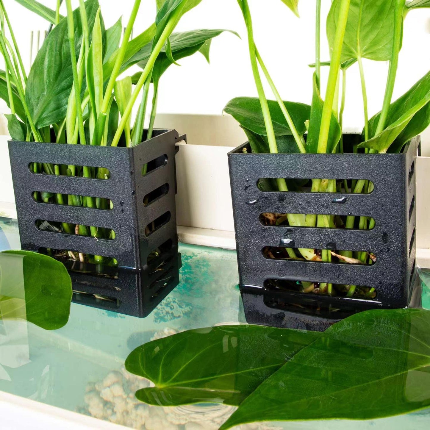 Your one-stop shop for diverse, top-quality aquarium supplies and accessories