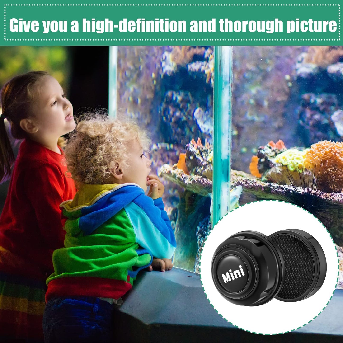 Your one-stop shop for diverse, top-quality aquarium supplies and accessories