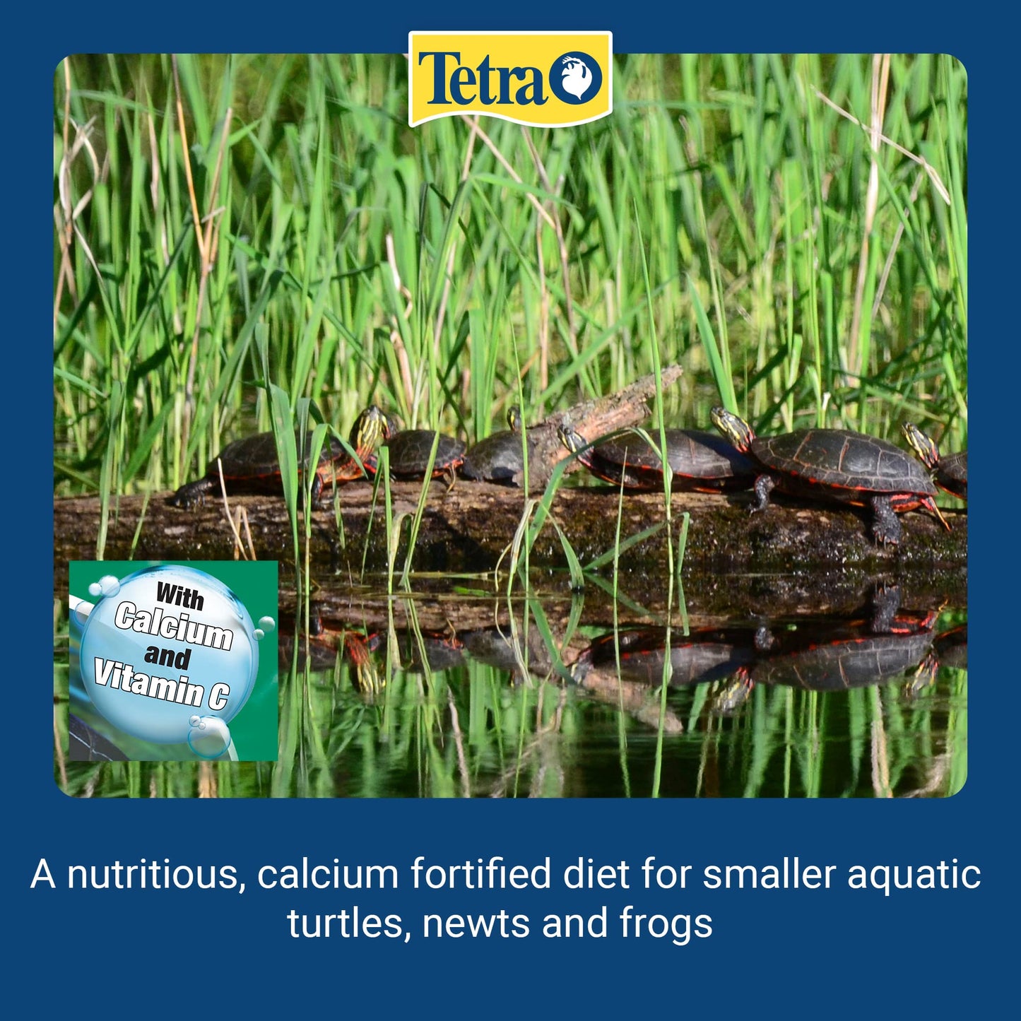 Your one-stop shop for diverse, top-quality aquarium supplies and accessories