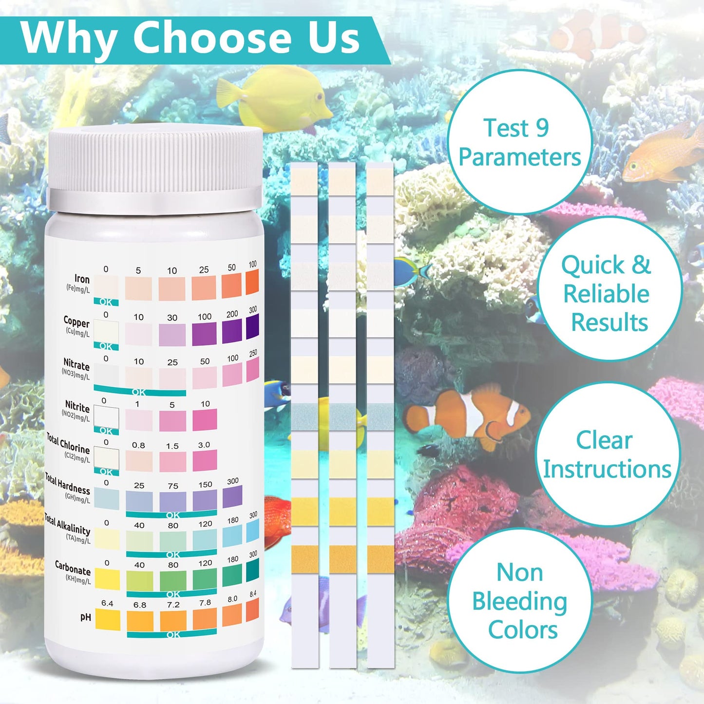Your one-stop shop for diverse, top-quality aquarium supplies and accessories