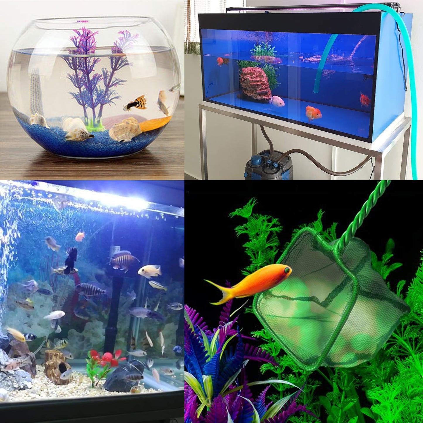 Your one-stop shop for diverse, top-quality aquarium supplies and accessories