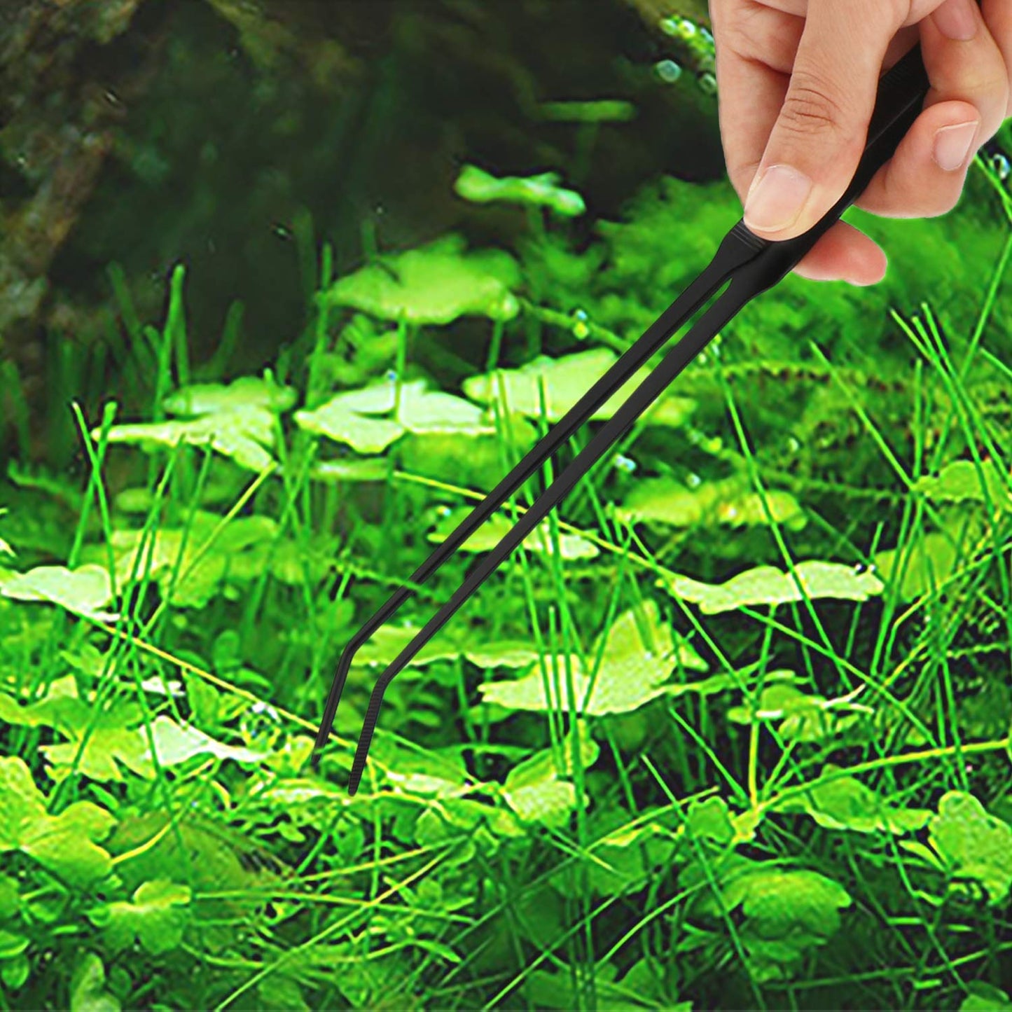 Your one-stop shop for diverse, top-quality aquarium supplies and accessories