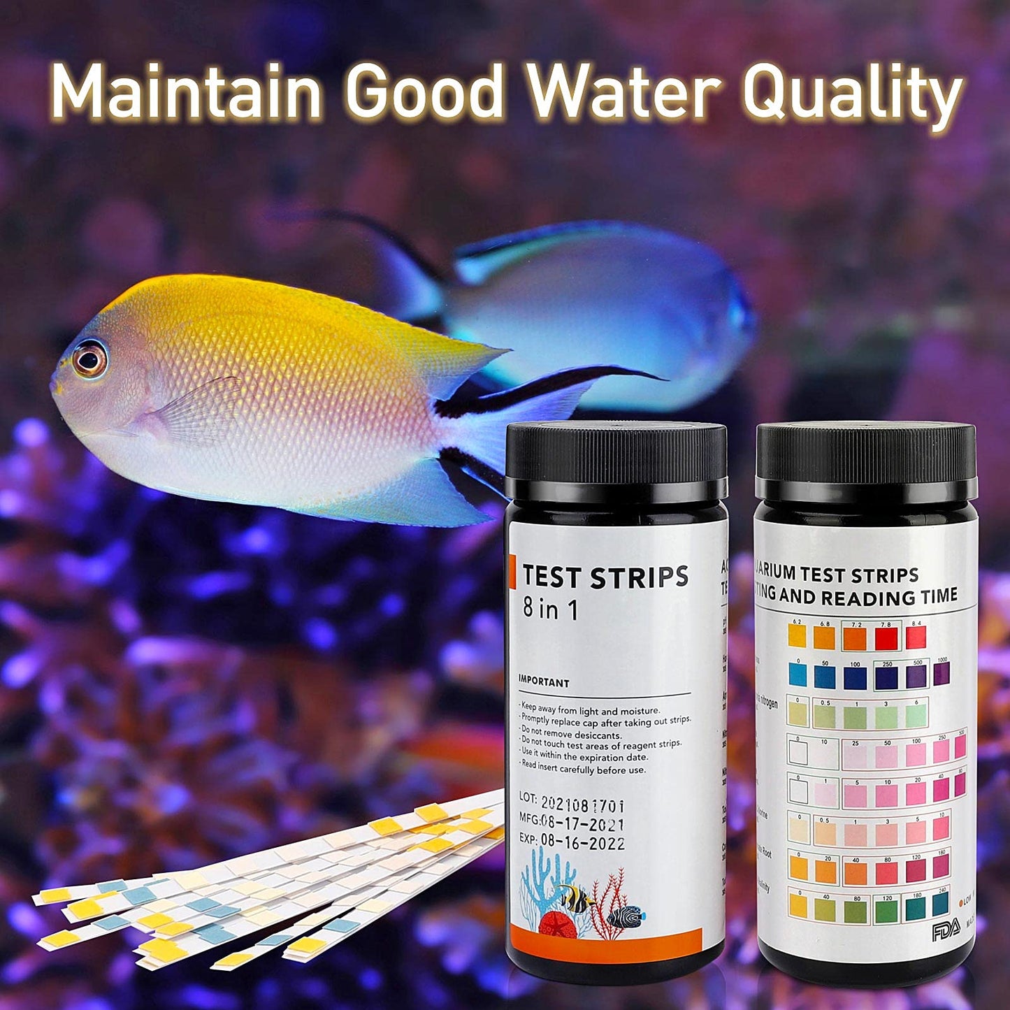 Your one-stop shop for diverse, top-quality aquarium supplies and accessories