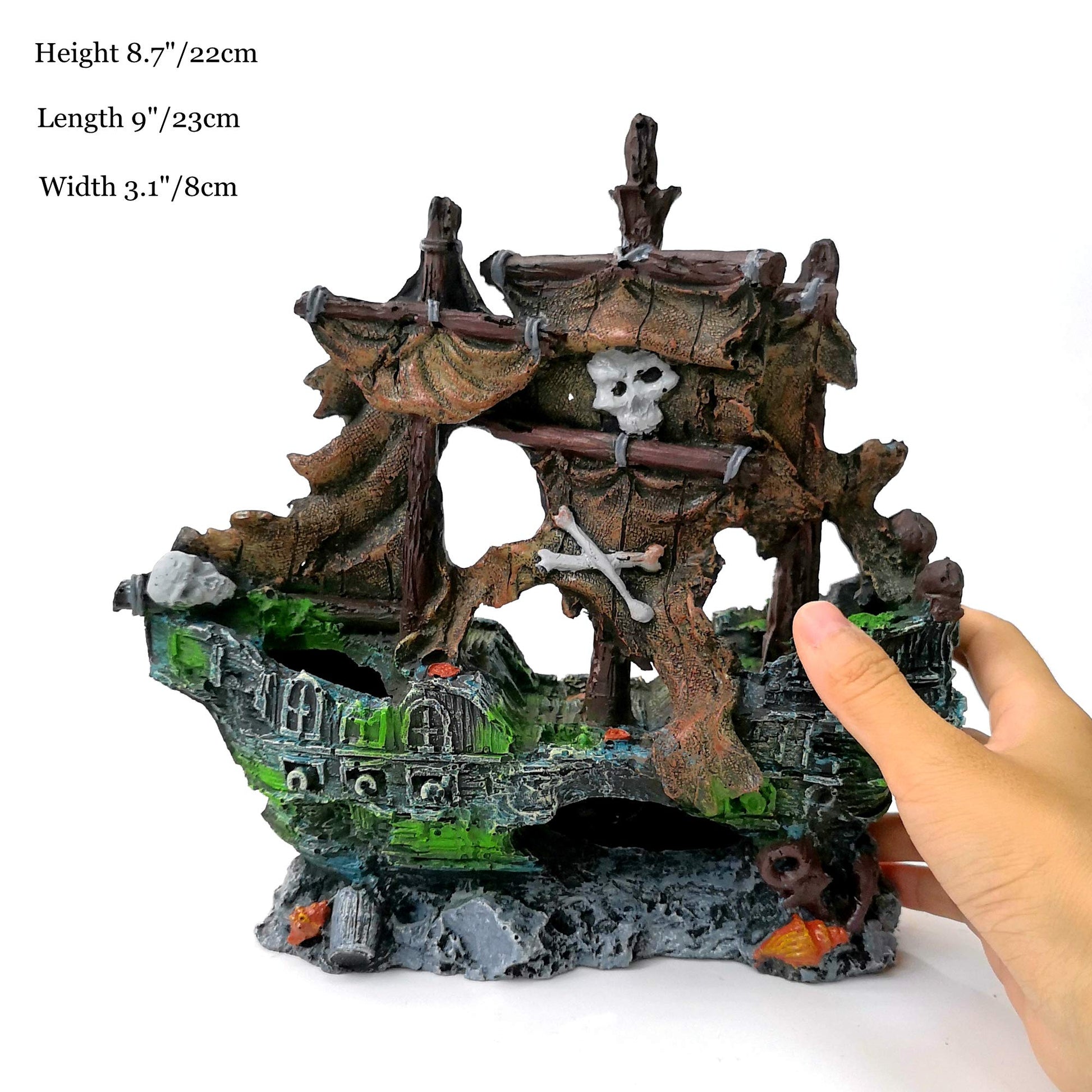 Your one-stop shop for diverse, top-quality aquarium supplies and accessories