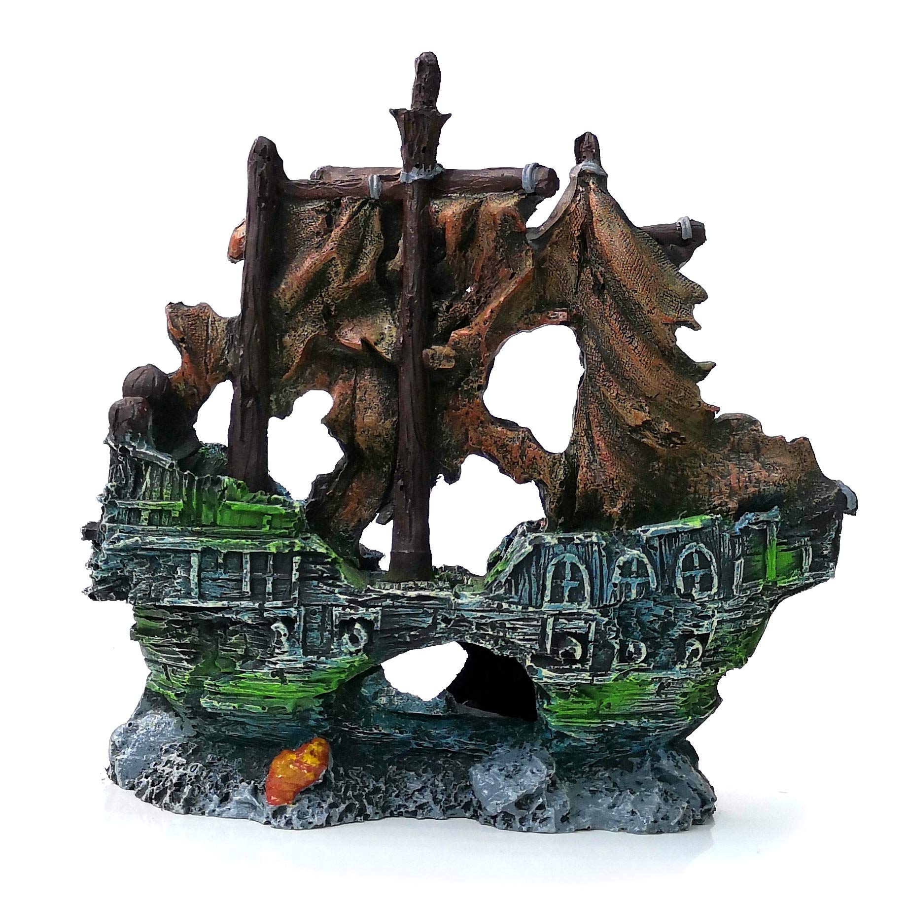 Your one-stop shop for diverse, top-quality aquarium supplies and accessories