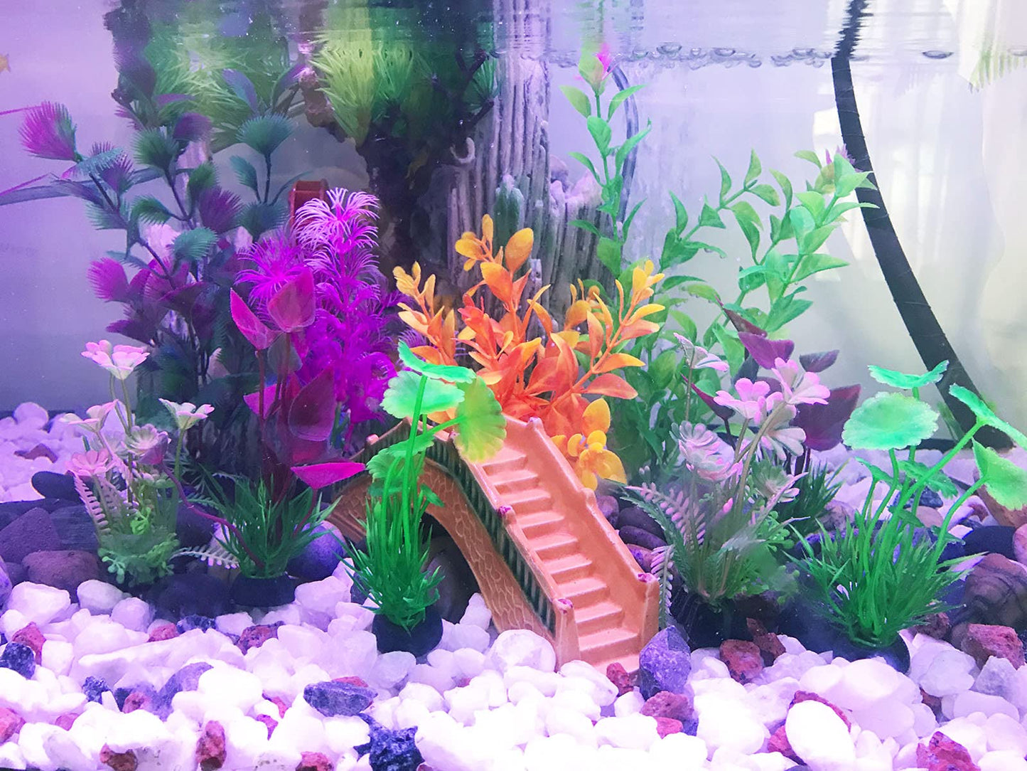 Your one-stop shop for diverse, top-quality aquarium supplies and accessories