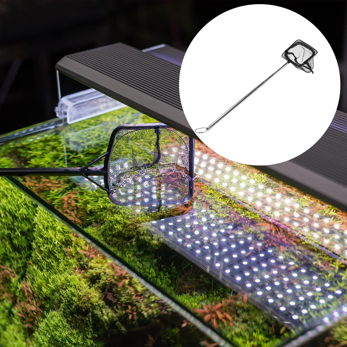 Your one-stop shop for diverse, top-quality aquarium supplies and accessories