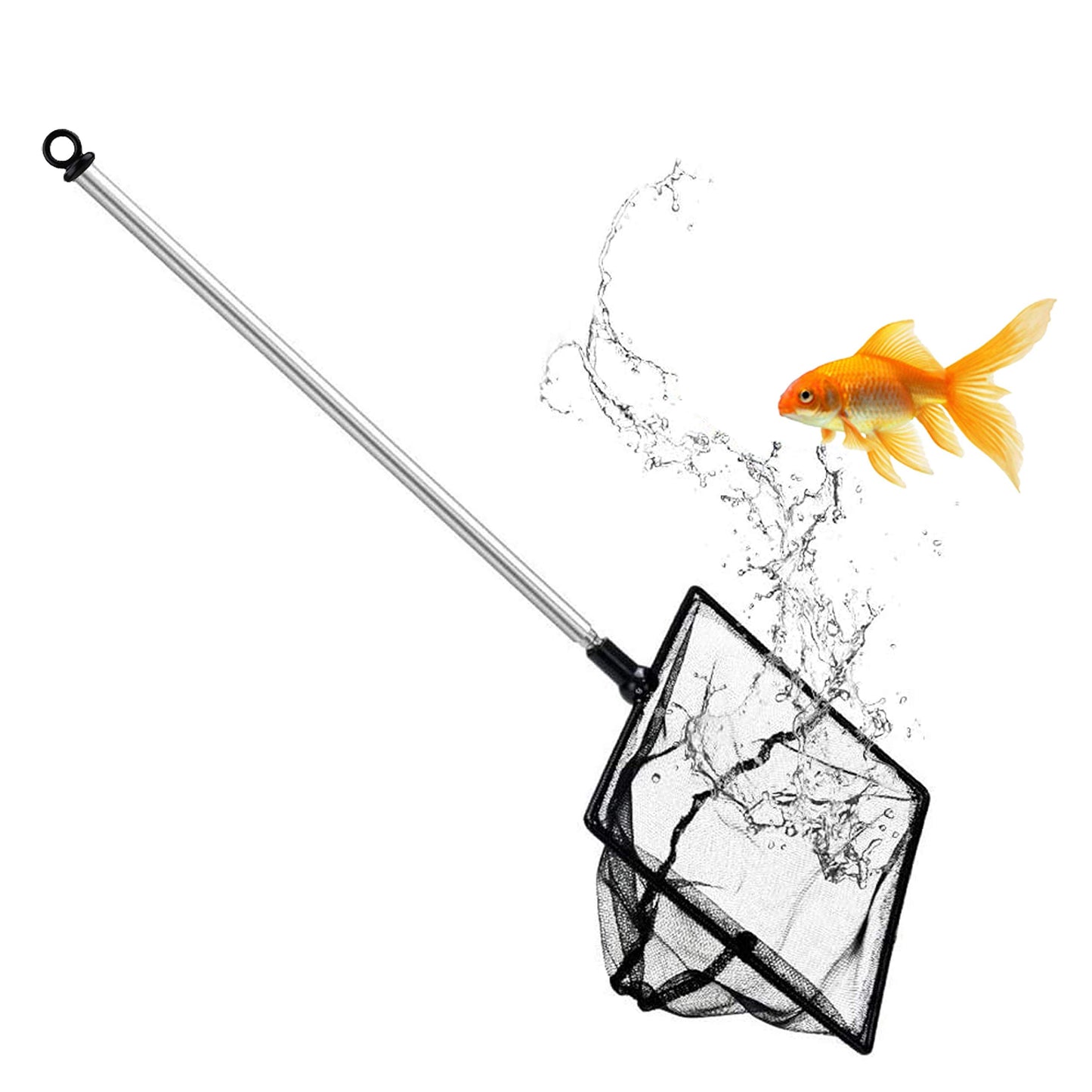 Your one-stop shop for diverse, top-quality aquarium supplies and accessories