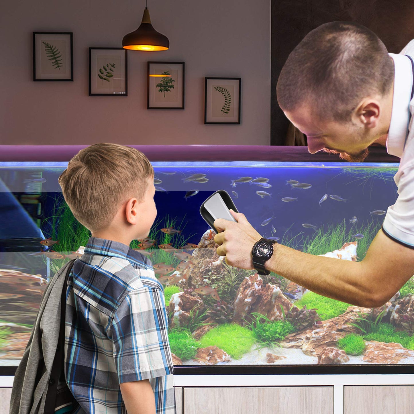 Your one-stop shop for diverse, top-quality aquarium supplies and accessories