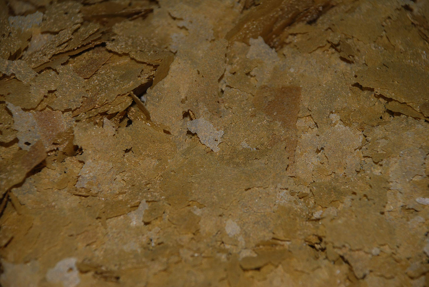 Your one-stop shop for diverse, top-quality aquarium supplies and accessories