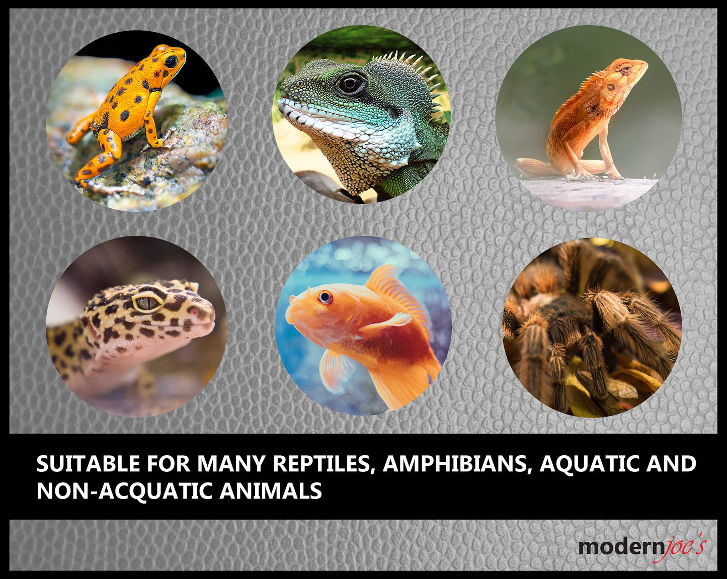 Your one-stop shop for diverse, top-quality aquarium supplies and accessories