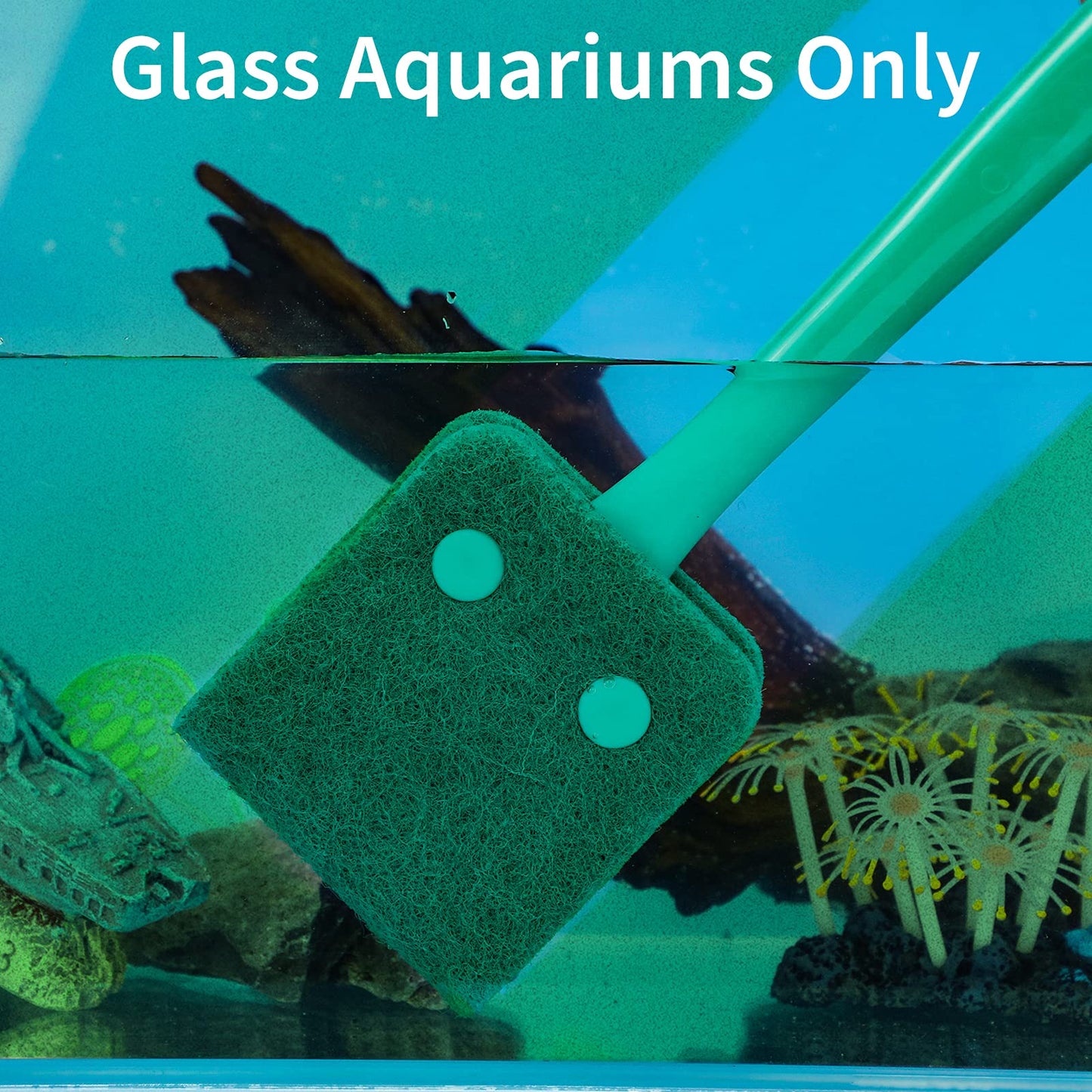 Your one-stop shop for diverse, top-quality aquarium supplies and accessories