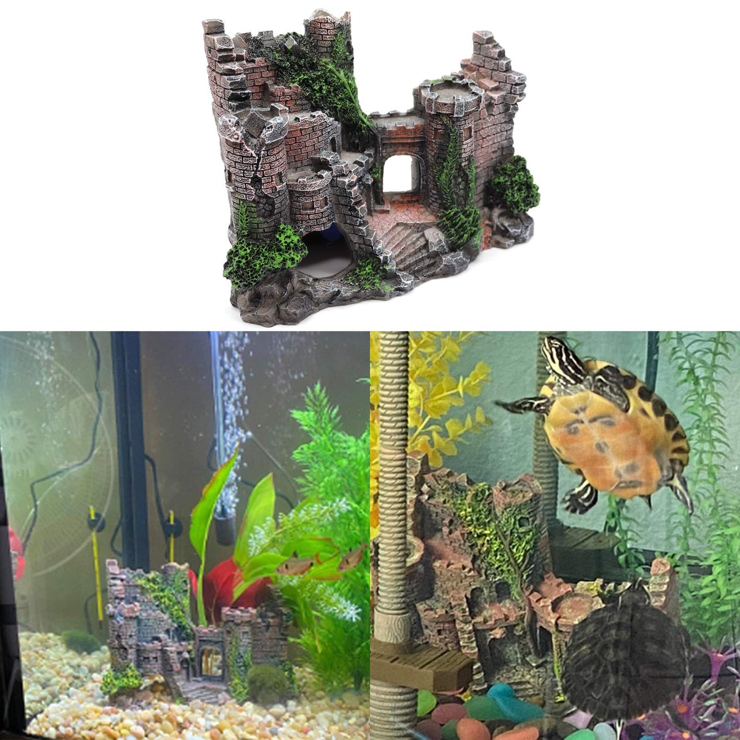 Your one-stop shop for diverse, top-quality aquarium supplies and accessories
