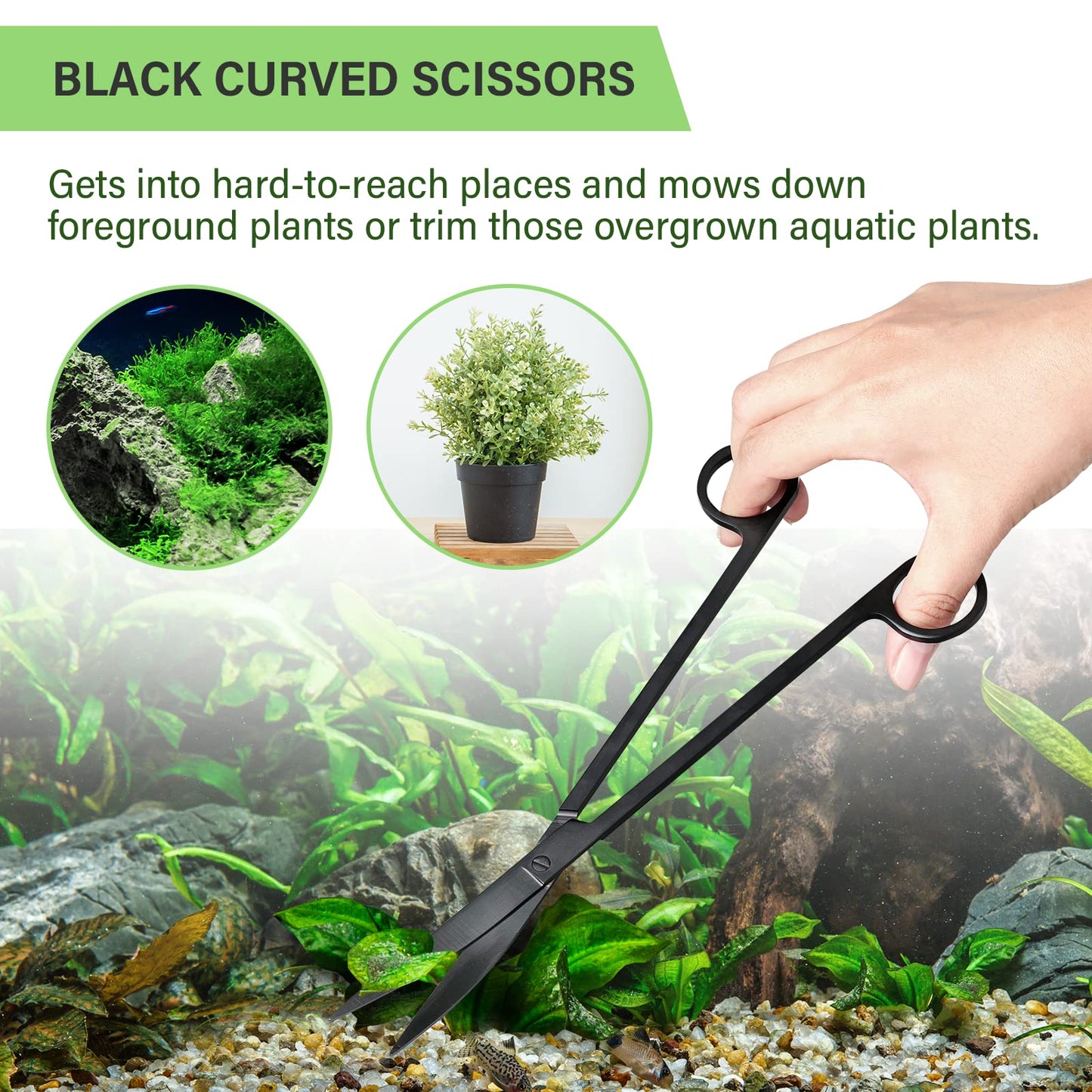 Your one-stop shop for diverse, top-quality aquarium supplies and accessories