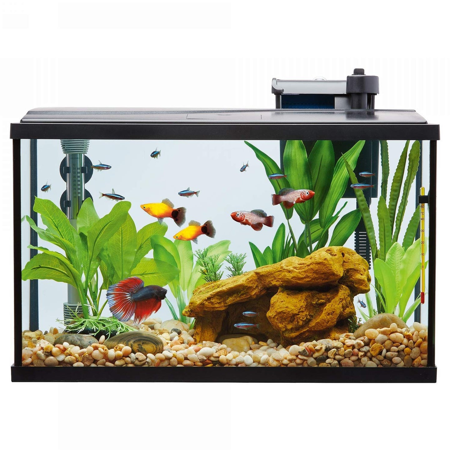 Your one-stop shop for diverse, top-quality aquarium supplies and accessories