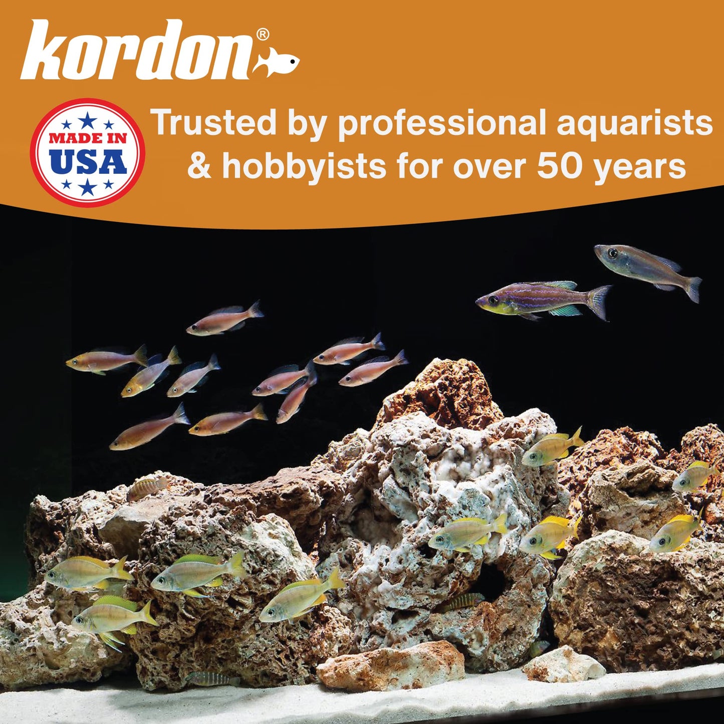 Your one-stop shop for diverse, top-quality aquarium supplies and accessories