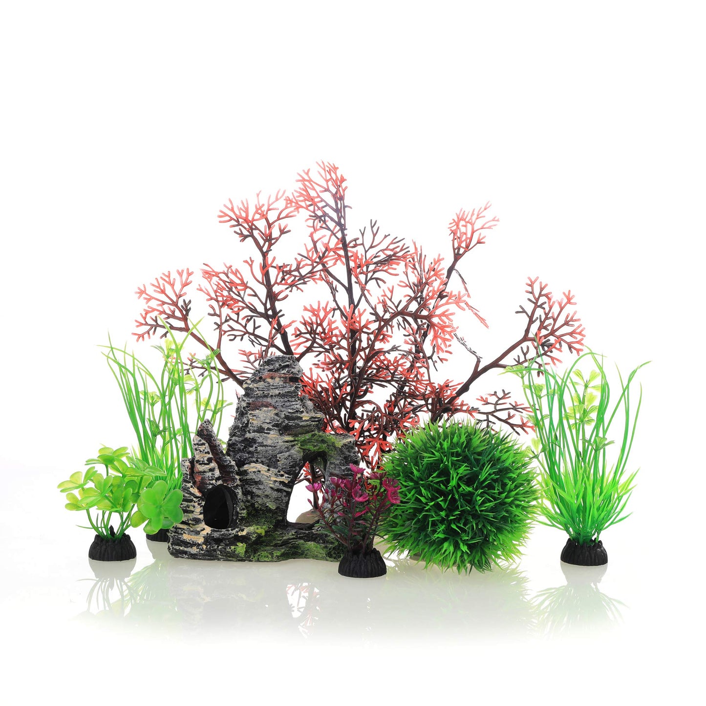 Your one-stop shop for diverse, top-quality aquarium supplies and accessories
