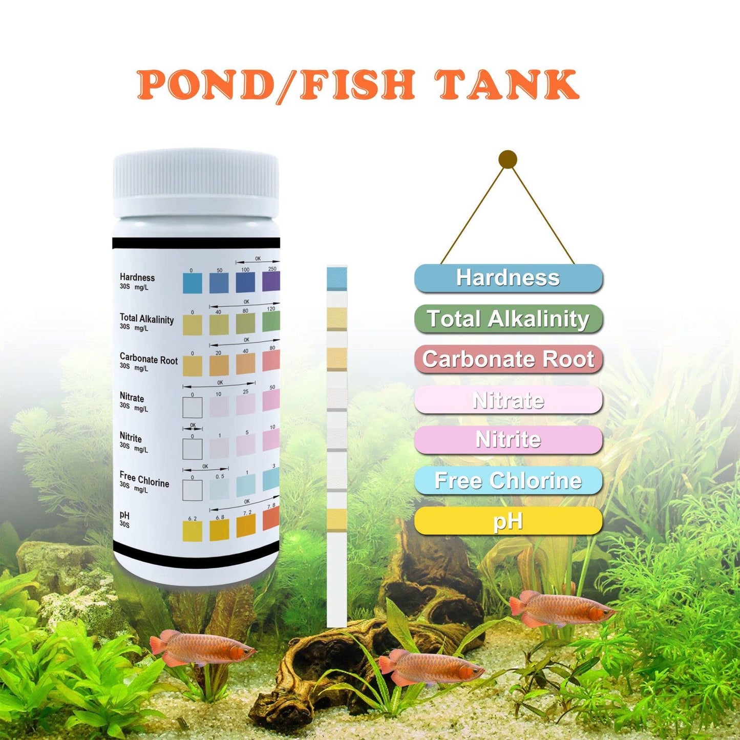 Your one-stop shop for diverse, top-quality aquarium supplies and accessories