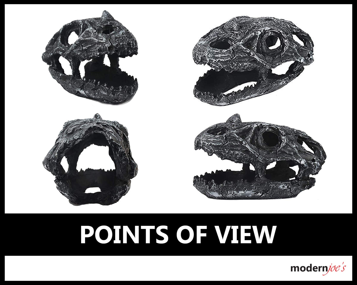 Your one-stop shop for diverse, top-quality aquarium supplies and accessories