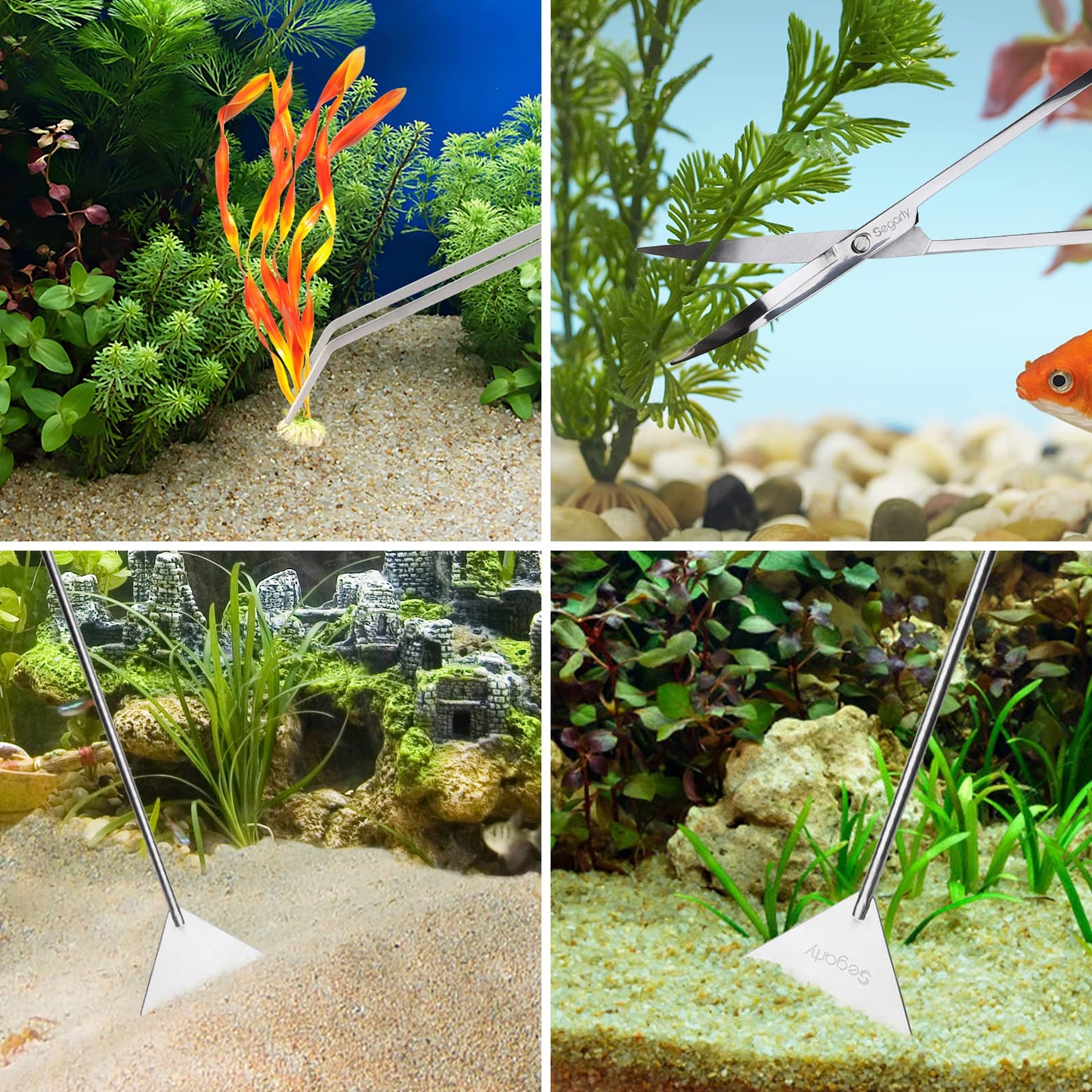Your one-stop shop for diverse, top-quality aquarium supplies and accessories