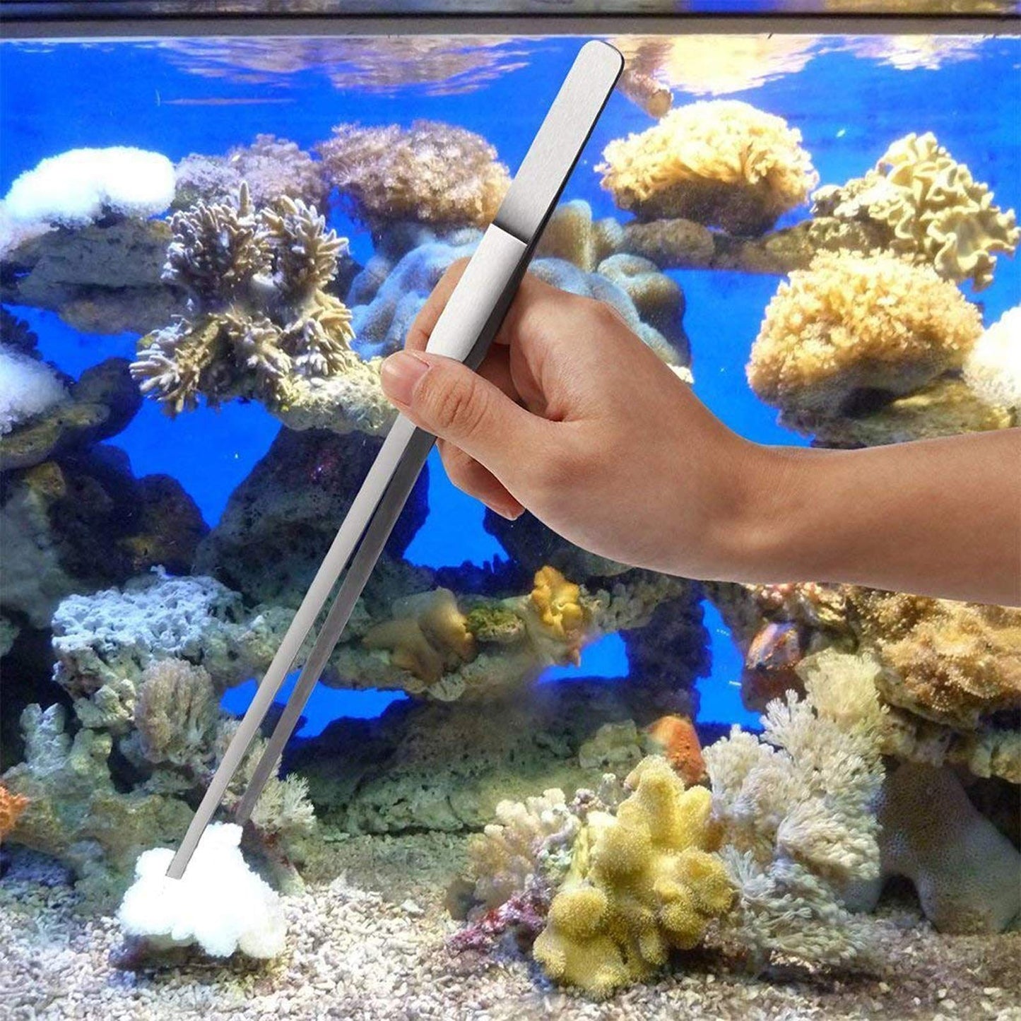 Your one-stop shop for diverse, top-quality aquarium supplies and accessories