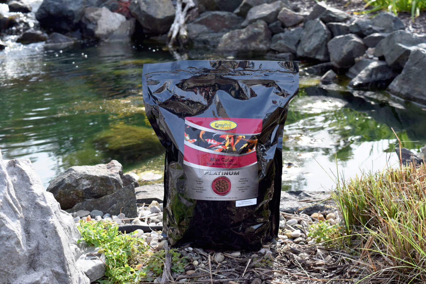 Your one-stop shop for diverse, top-quality aquarium supplies and accessories