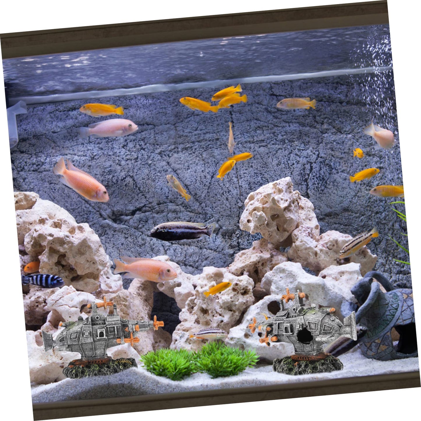 Your one-stop shop for diverse, top-quality aquarium supplies and accessories