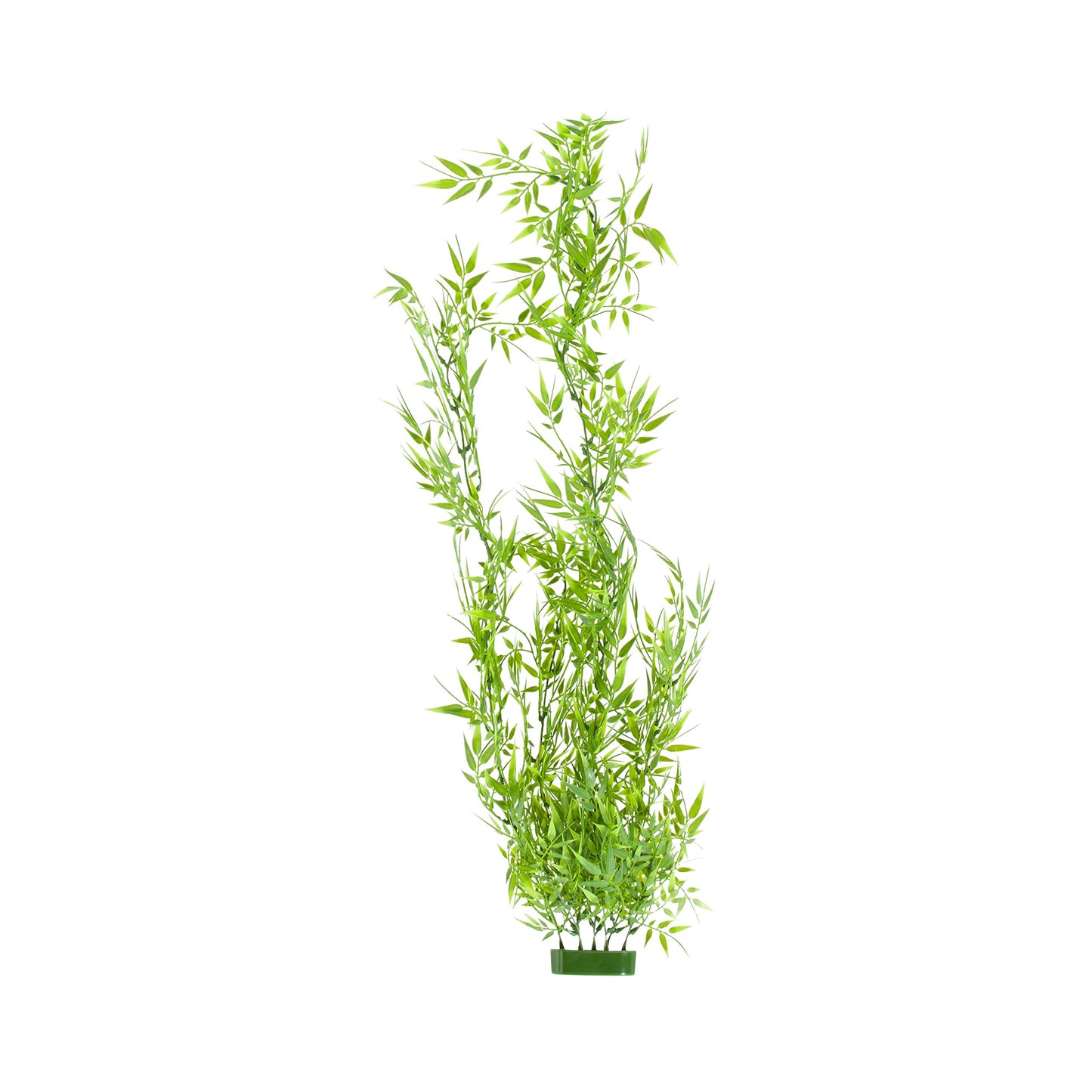 Your one-stop shop for diverse, top-quality aquarium supplies and accessories
