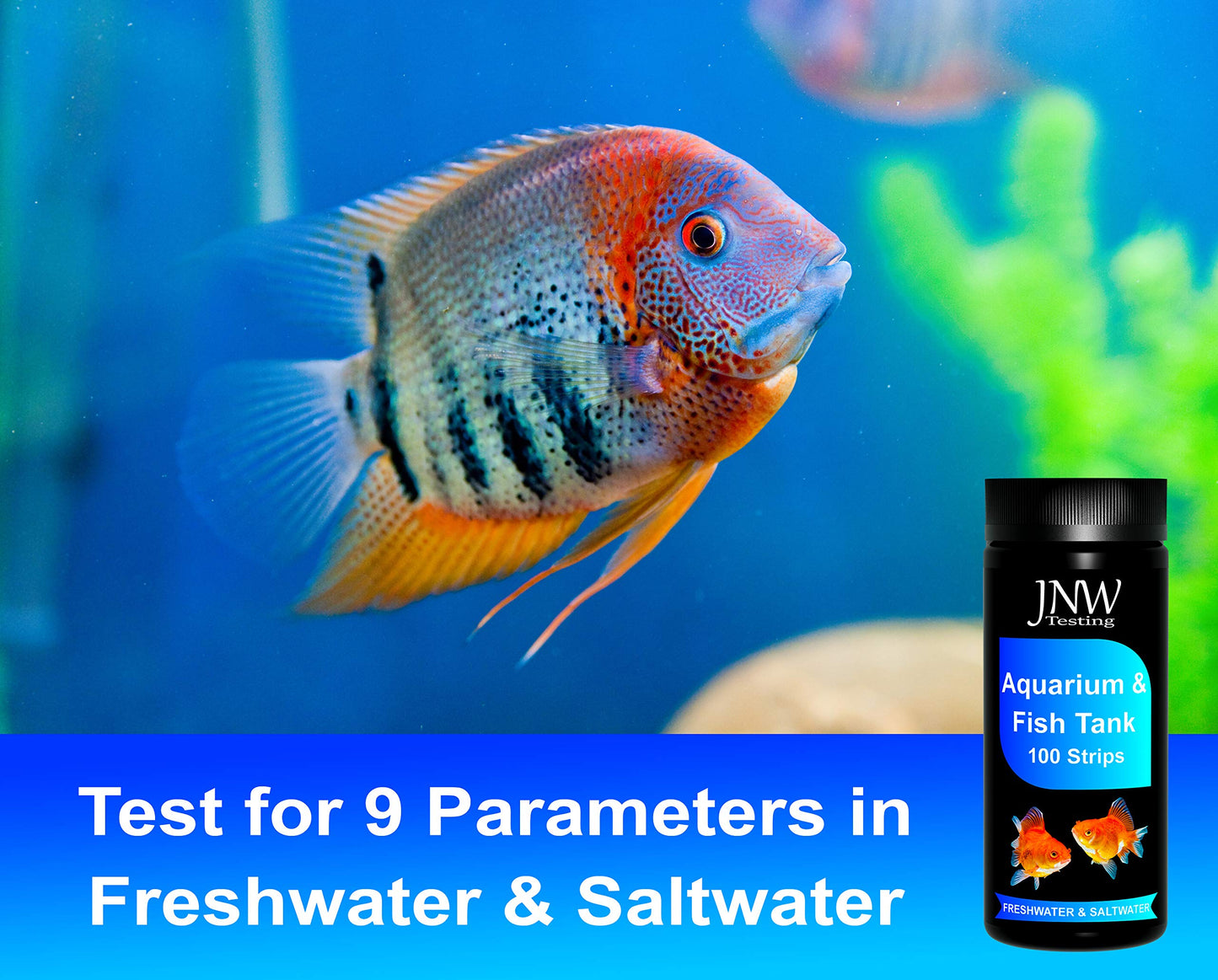 Your one-stop shop for diverse, top-quality aquarium supplies and accessories