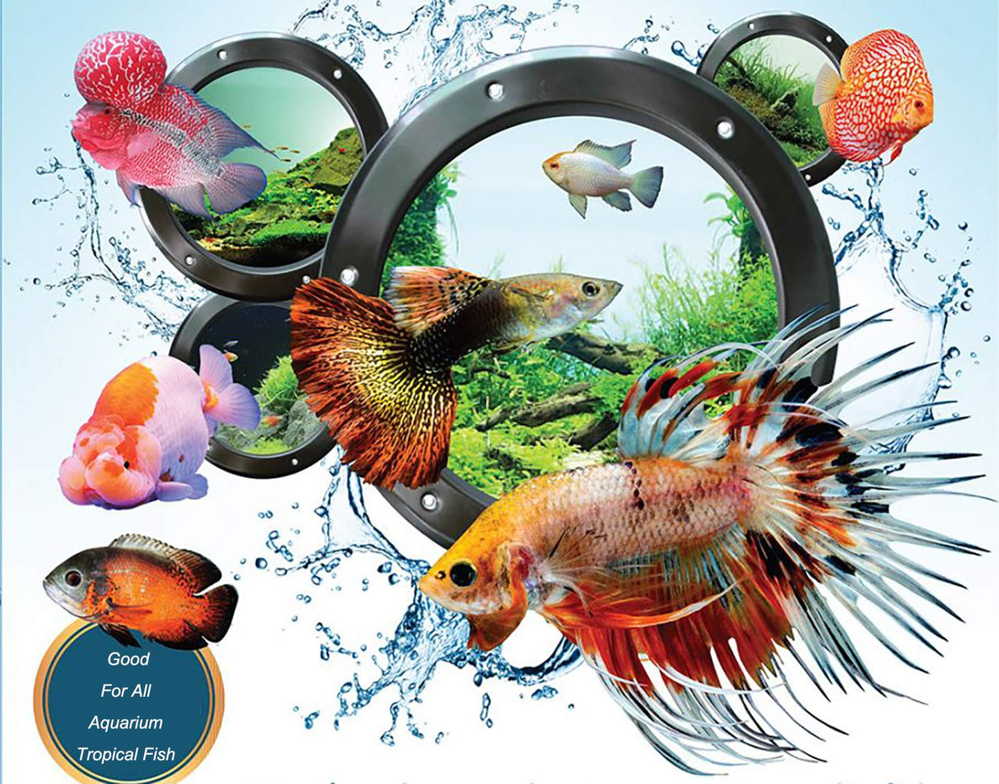 Your one-stop shop for diverse, top-quality aquarium supplies and accessories